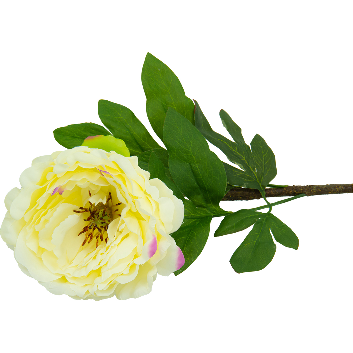 Flor Peonia Sencilla Blanca | Flores | decoracion